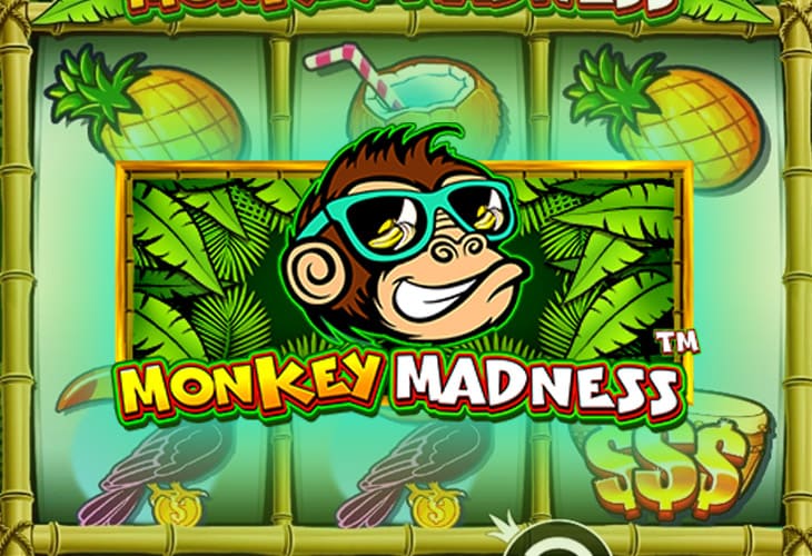 Monkey Madness - Pragmatic Play slot at YoYo Kasyno Polska Casino